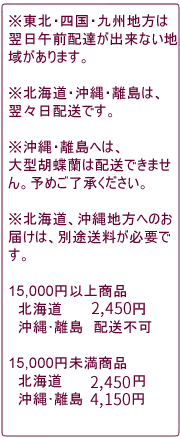 北海道、沖縄、離島は別途送料ご負担下さい