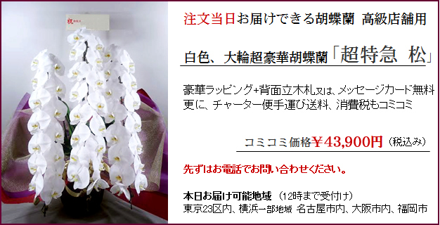 上場祝いにお花を贈るときのポイント 胡蝶蘭通販 サライ